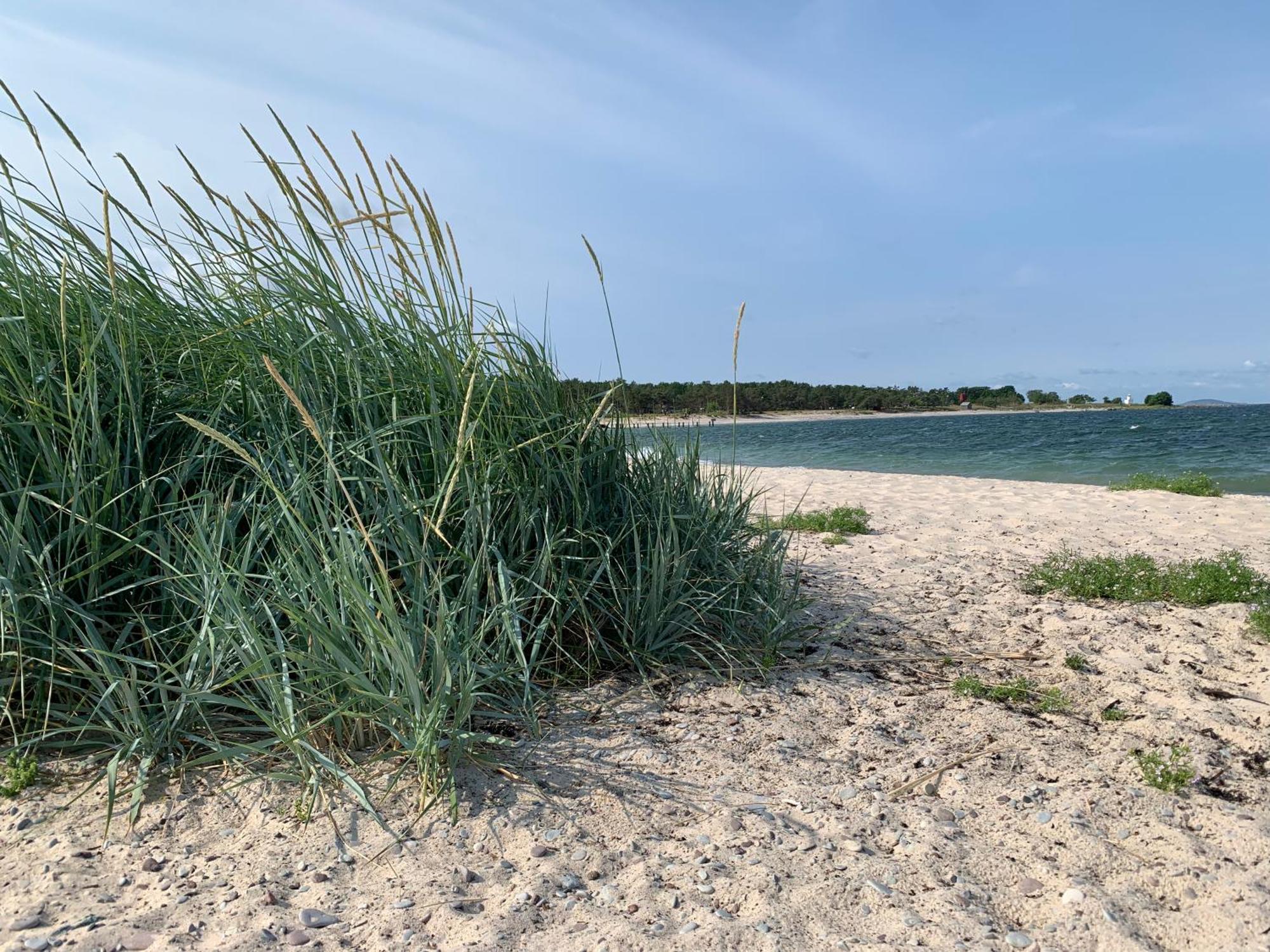 Strandlaegenhet Byxelkrok, Oeland * Byxelkrok